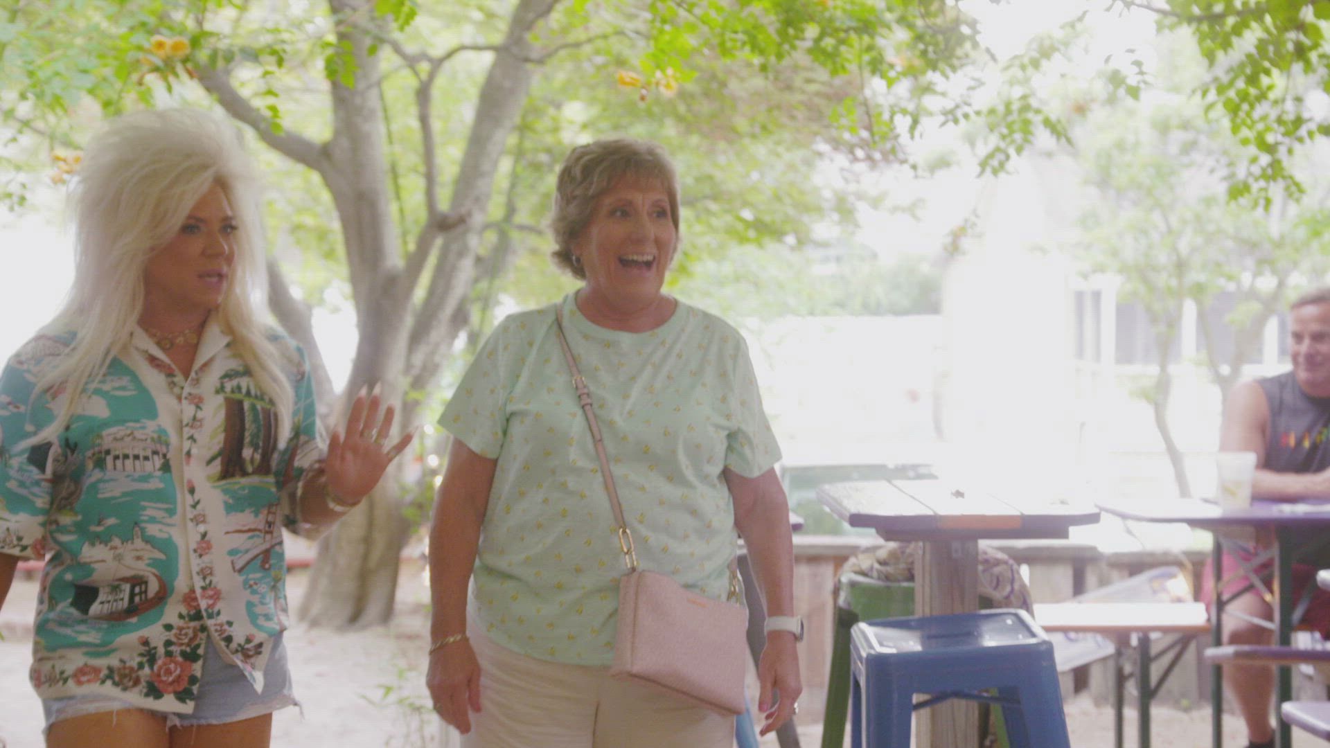 Theresa Caputo: Raising Spirits background