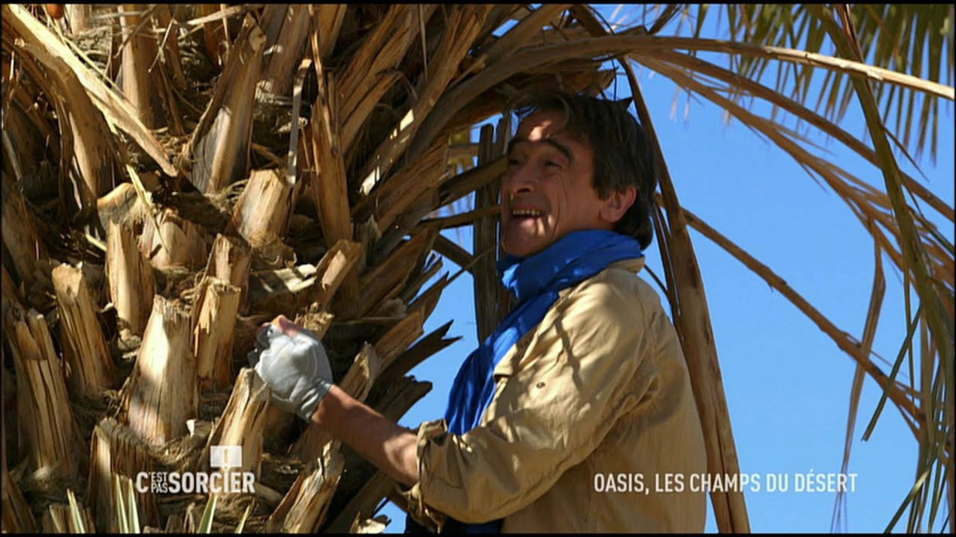 C'est pas sorcier background