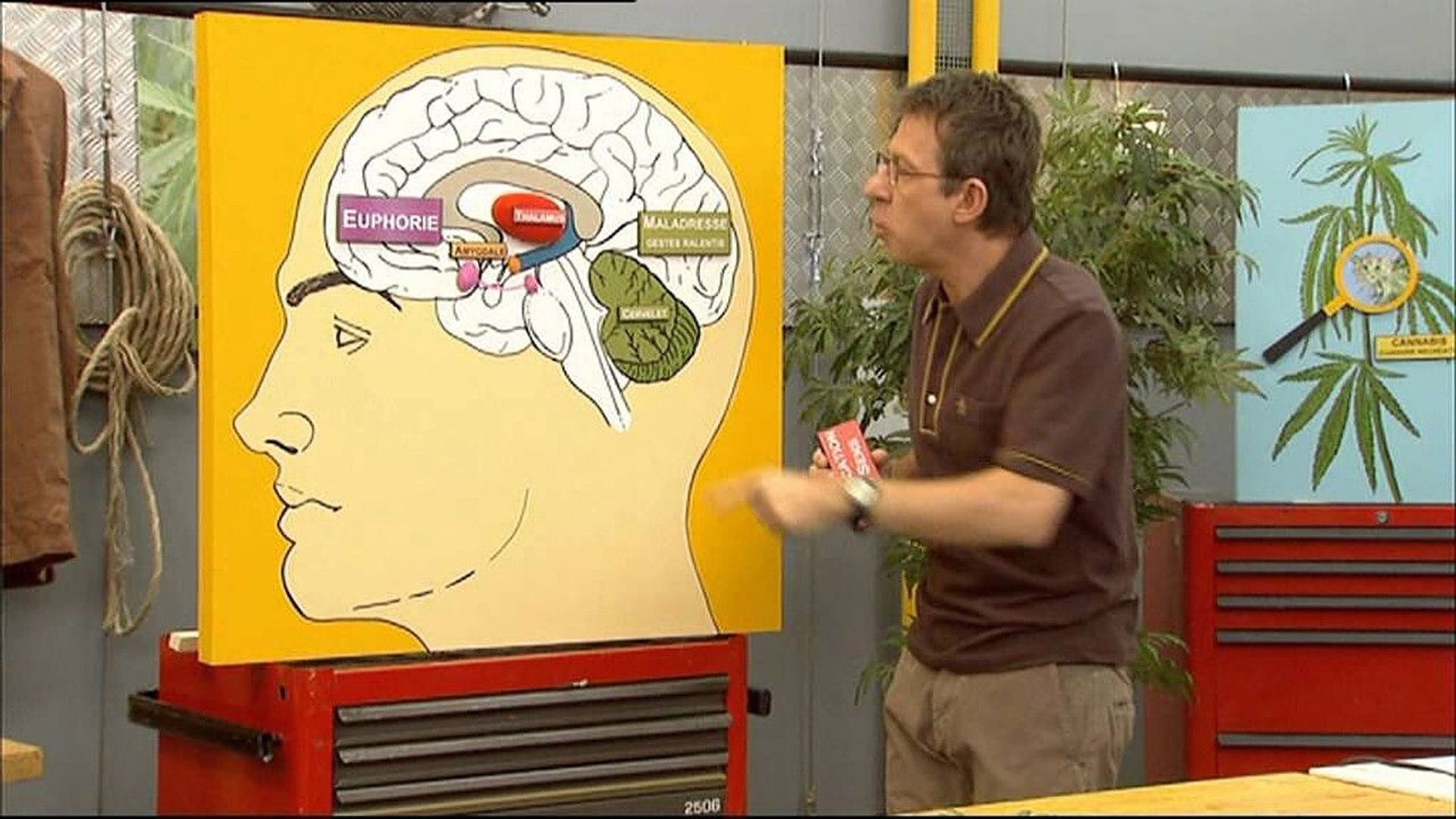 C'est pas sorcier background