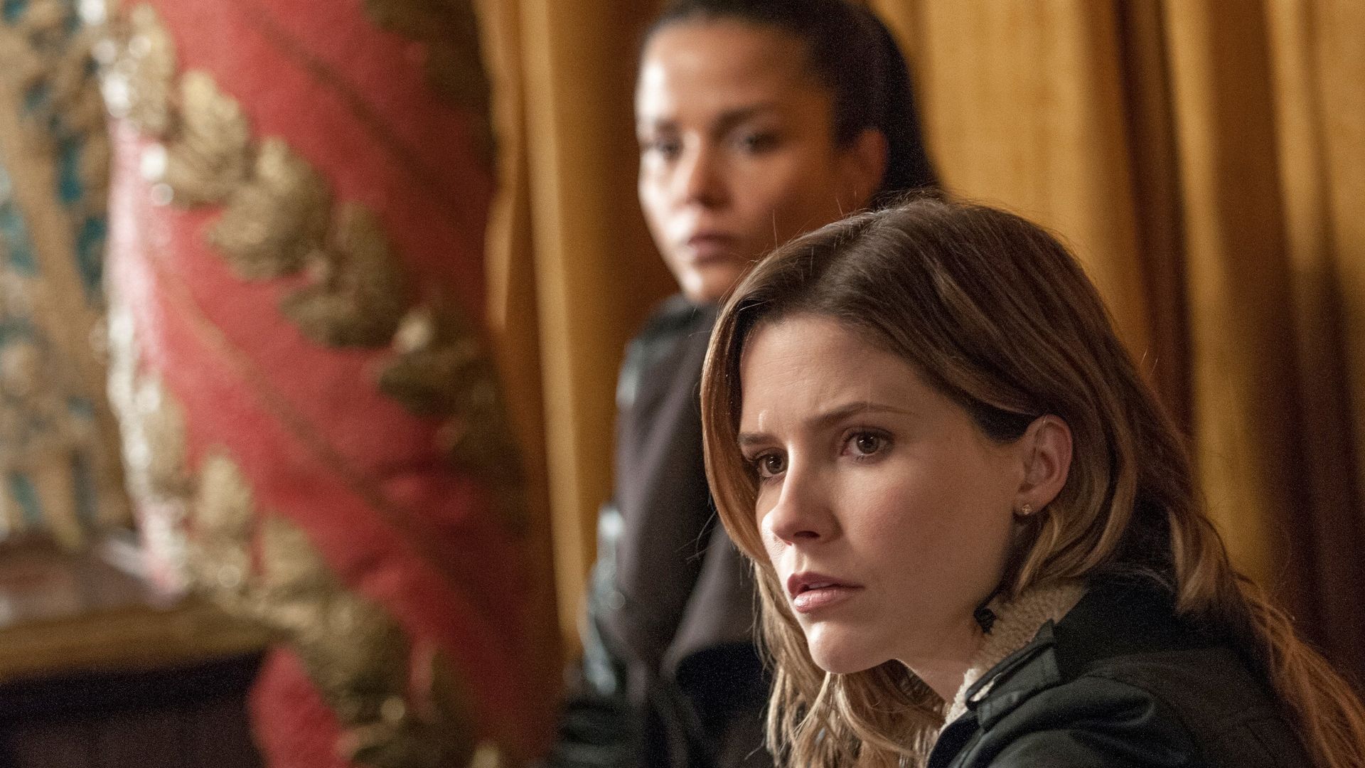 Chicago P.D. background