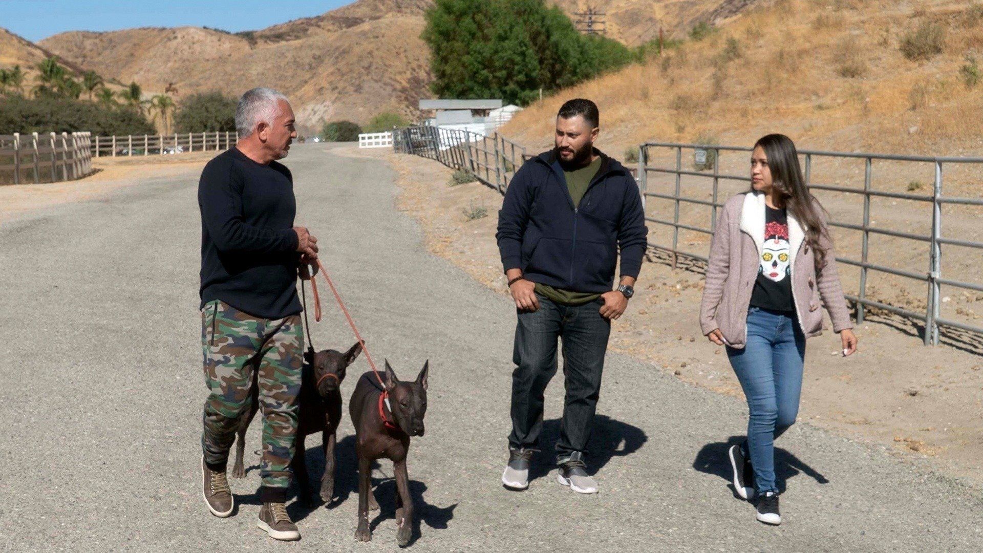 Cesar Millan: Better Human Better Dog background