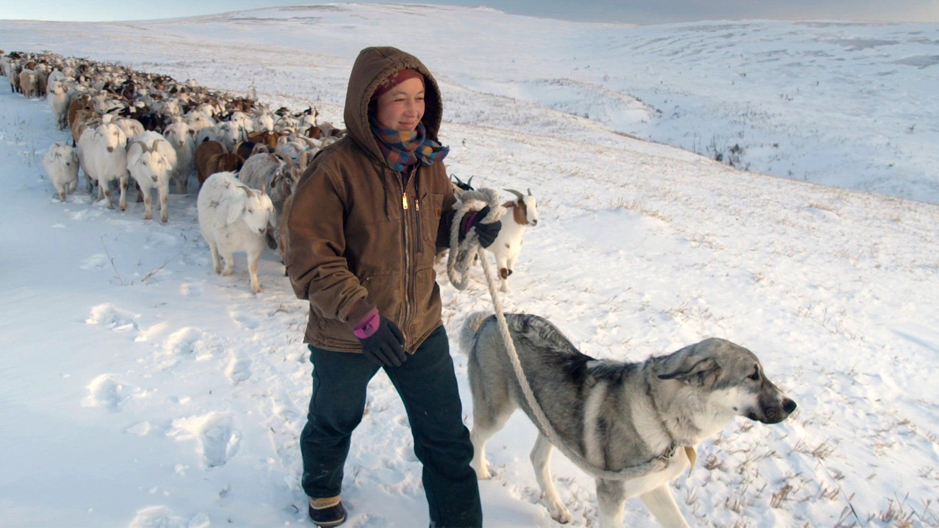 Man, Woman, Dog background