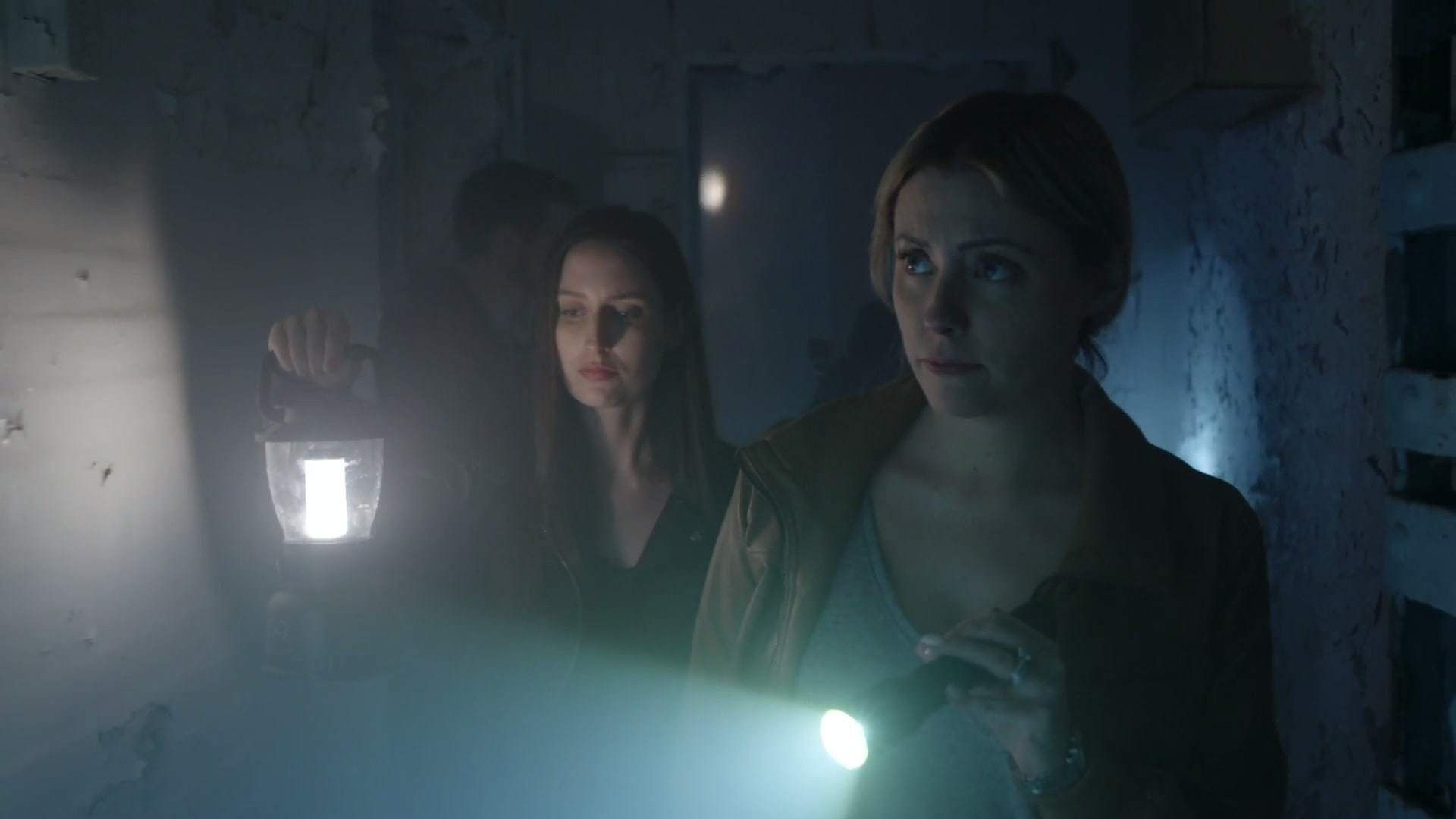 Terror in the Woods background