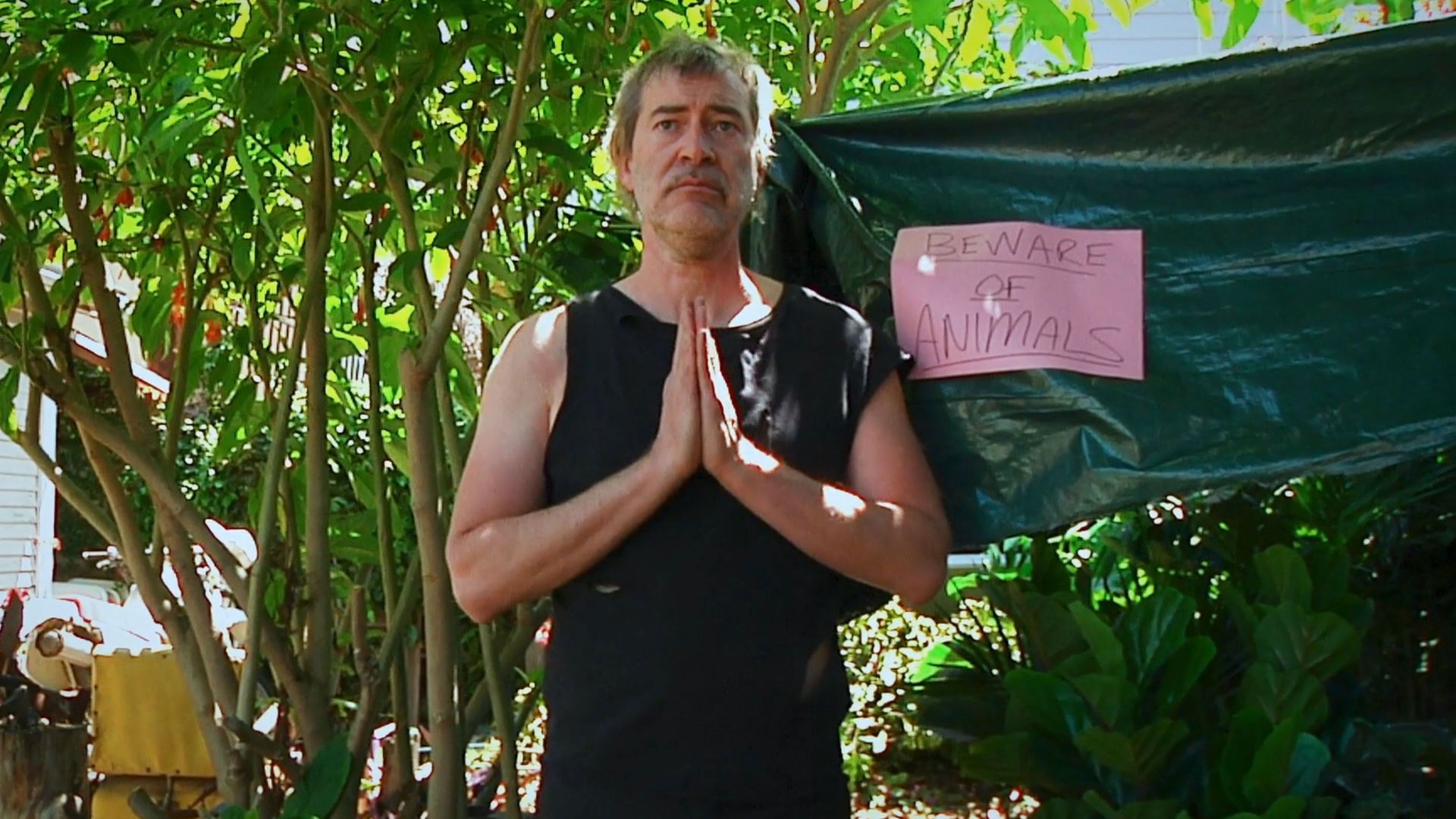 The Creep Tapes background