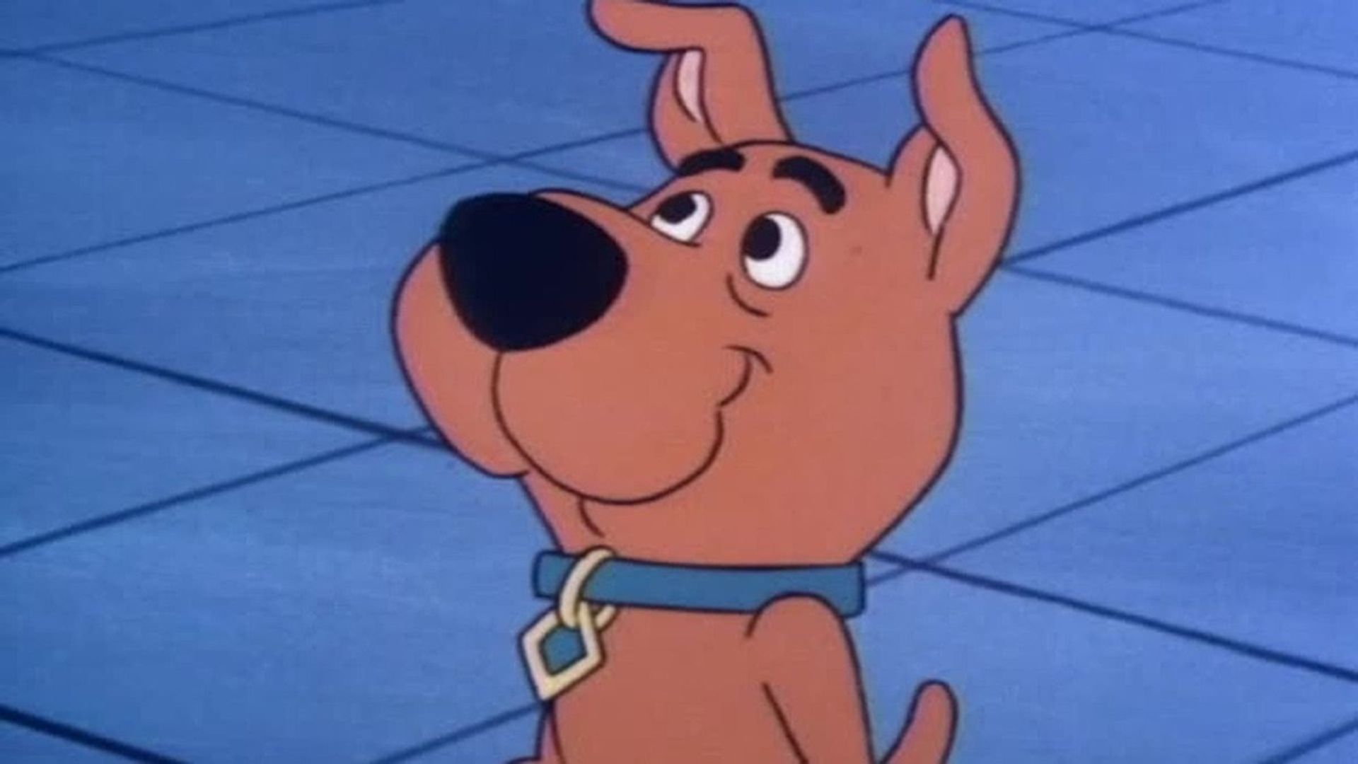The New Scooby-Doo Mysteries background