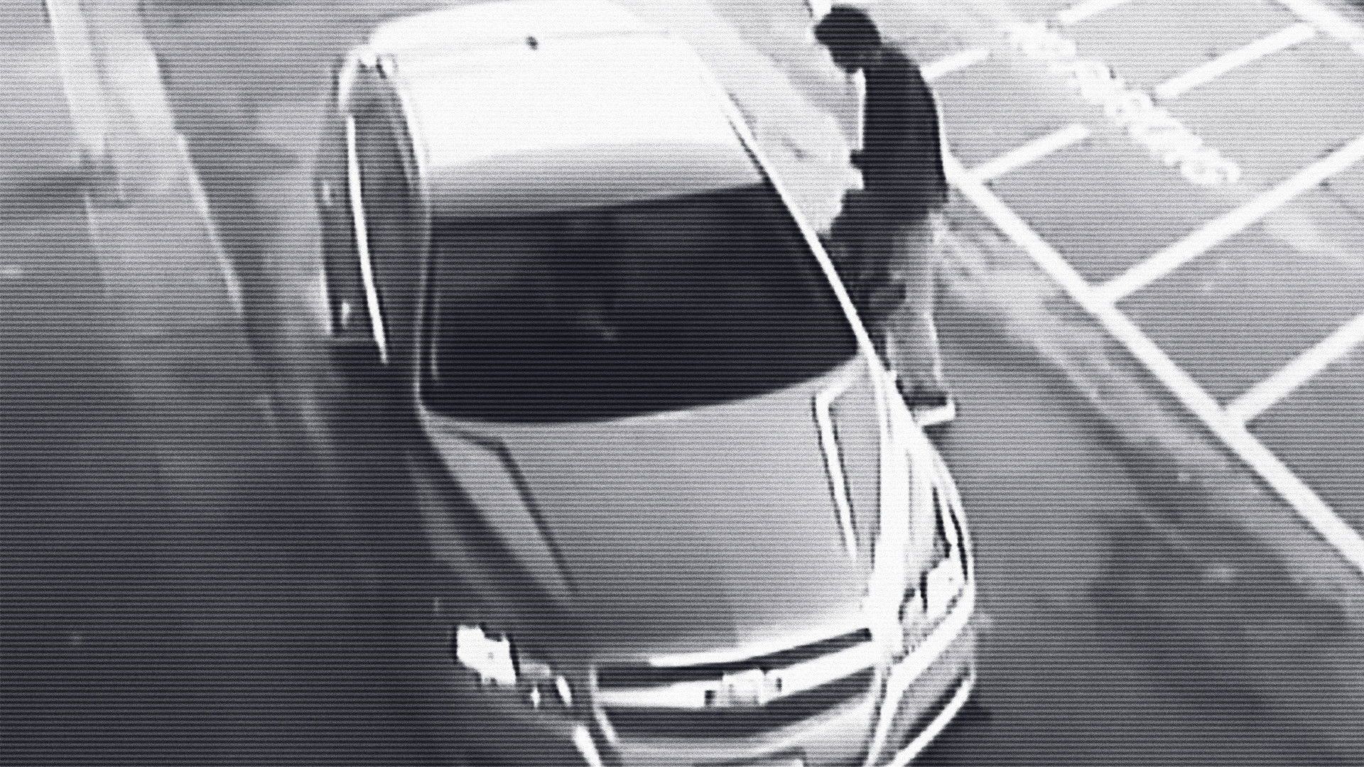 Crimes Gone Viral background