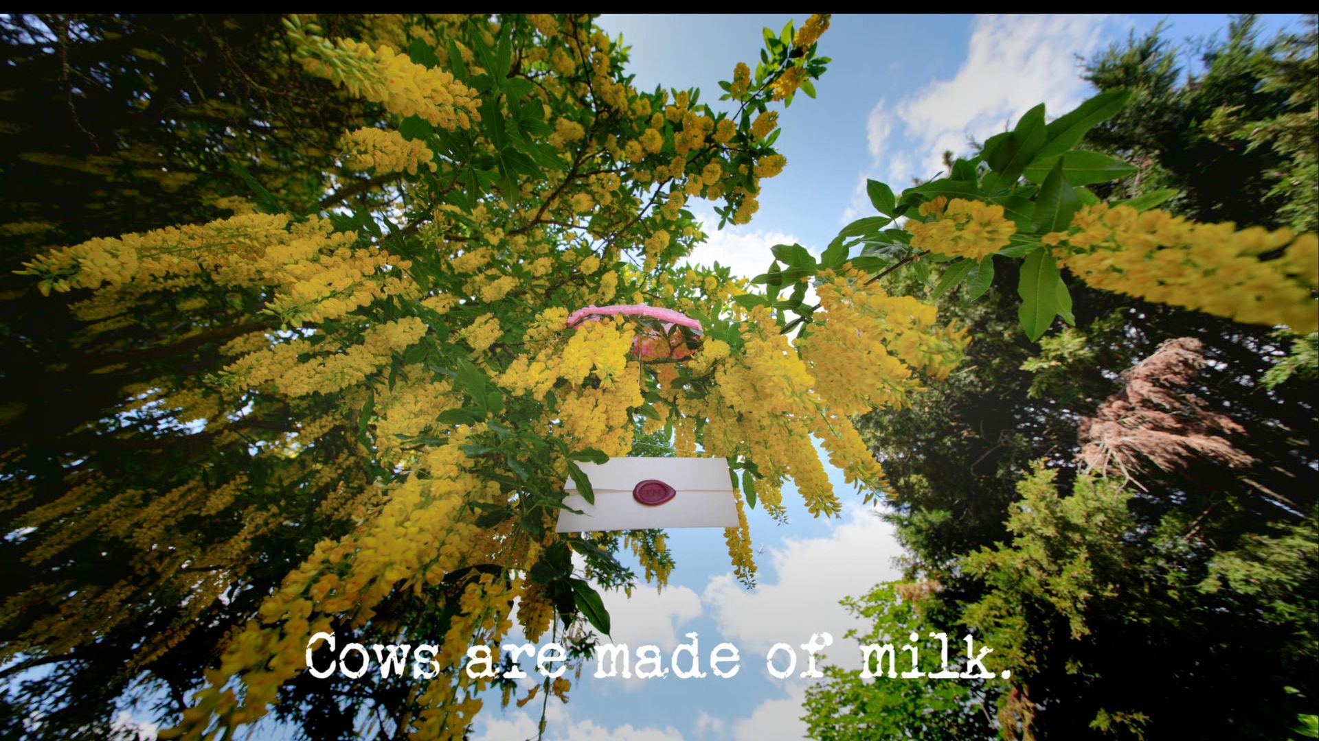 Taskmaster background