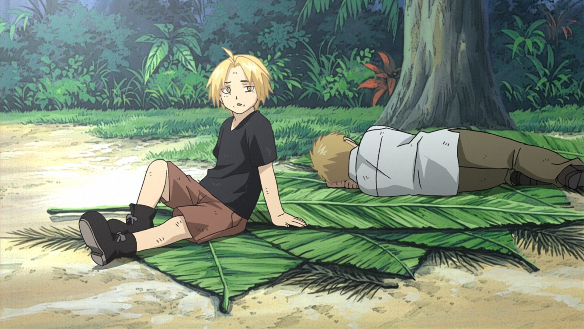 Fullmetal Alchemist: Brotherhood background