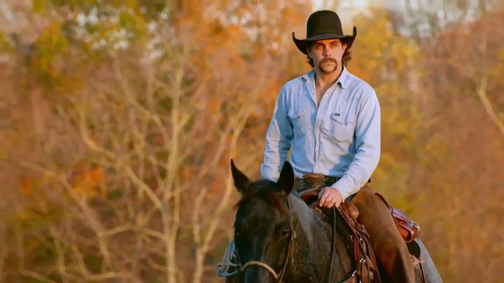 Farmer Wants A Wife background