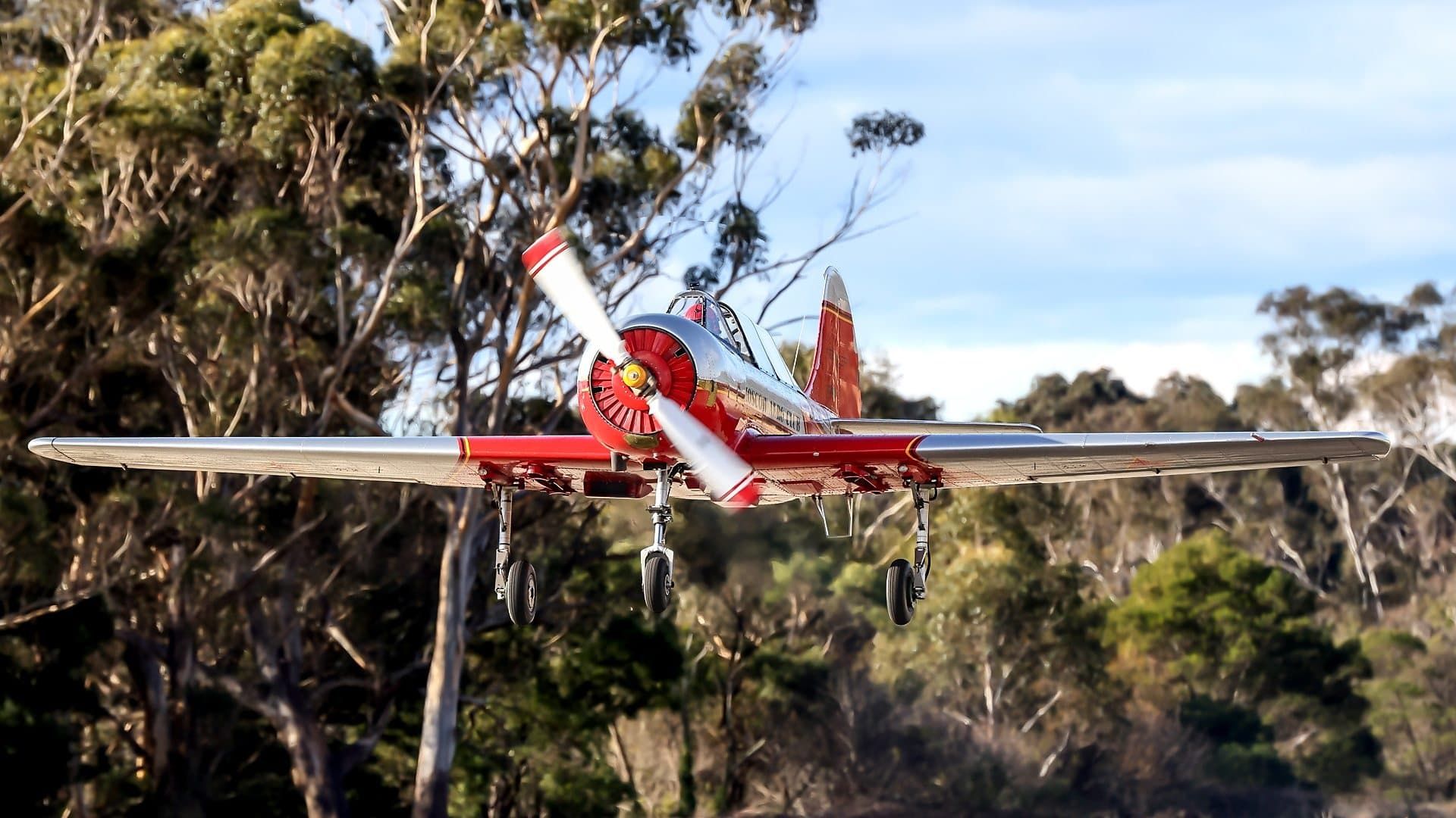 The Traitors Australia background