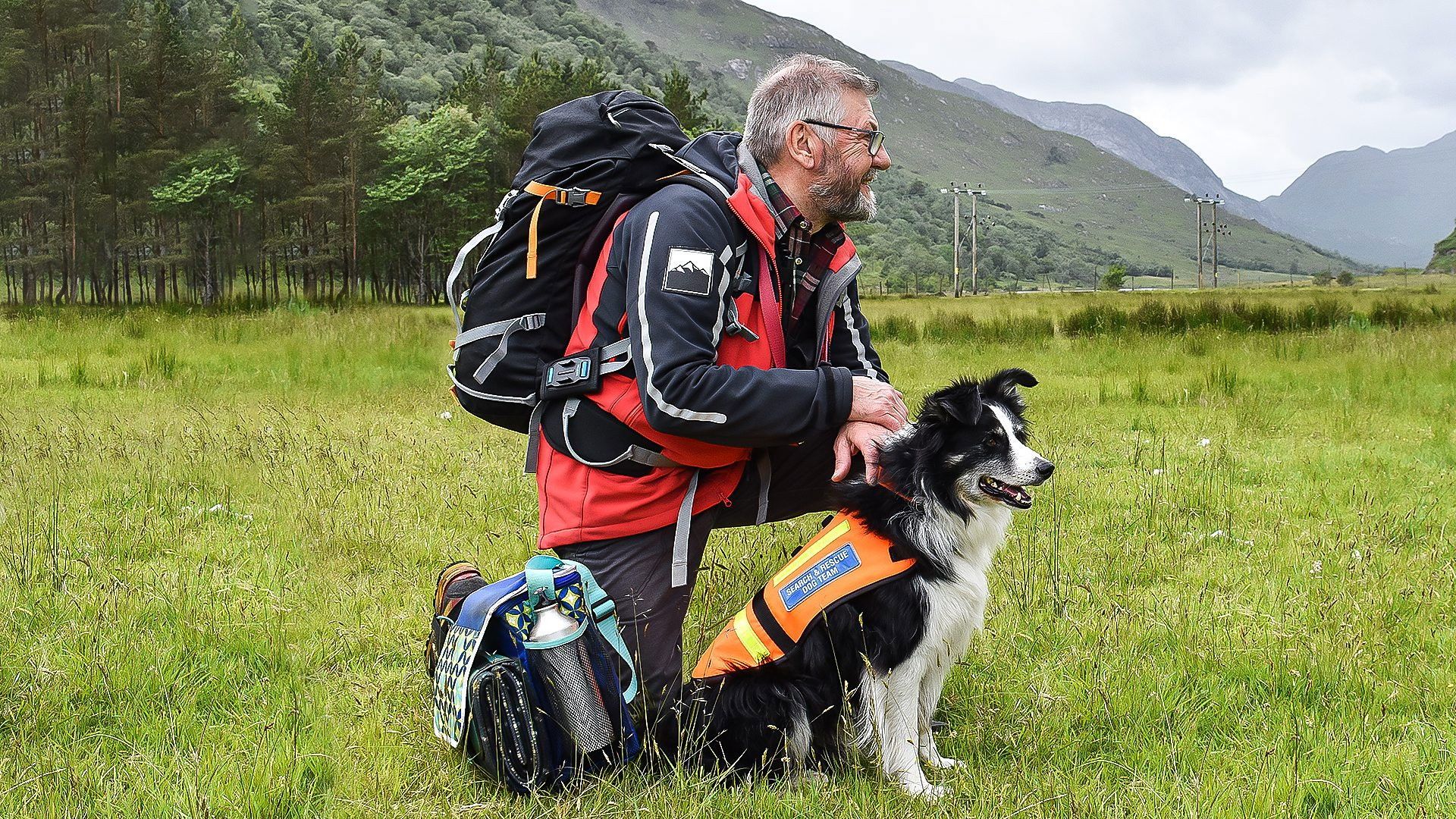 Dog Squad background