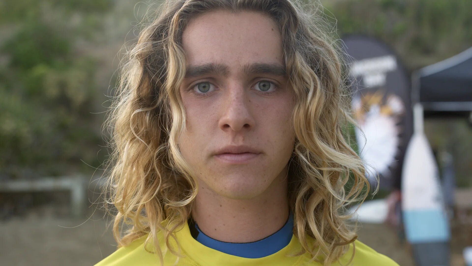 Surviving Summer background