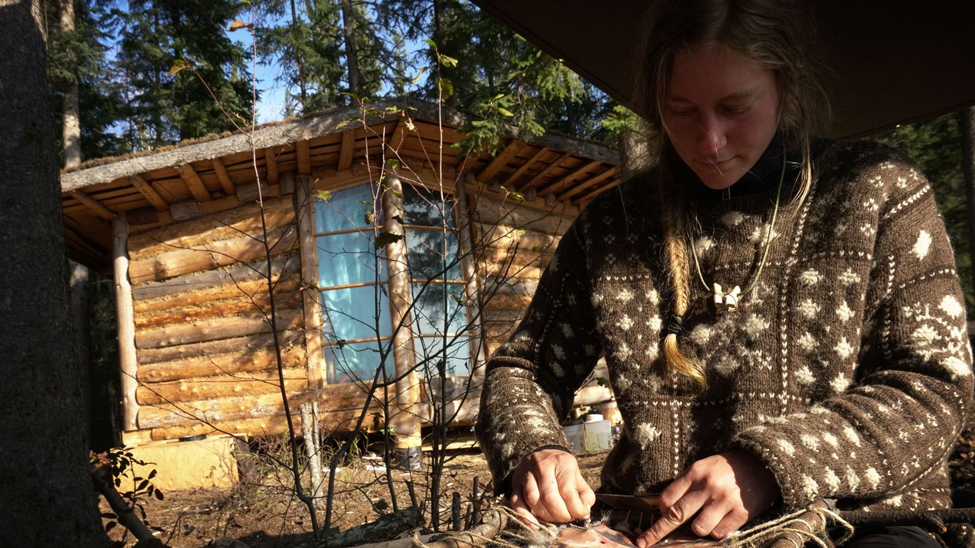 100 Days Wild background