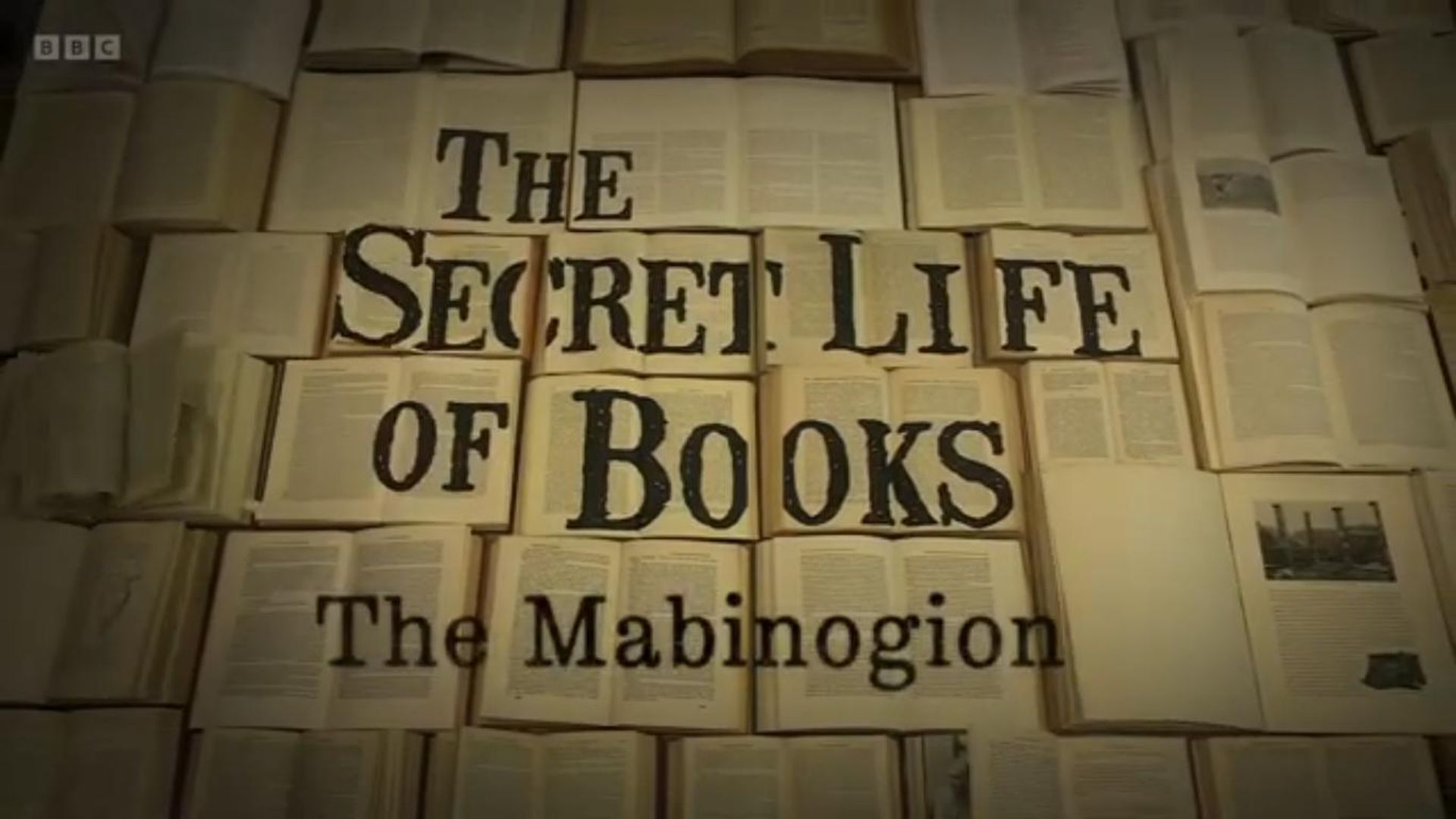 The Secret Life of Books background