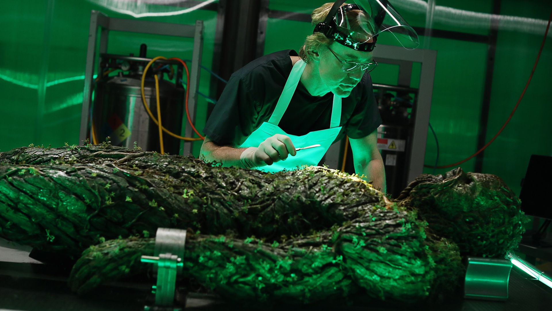 Swamp Thing background