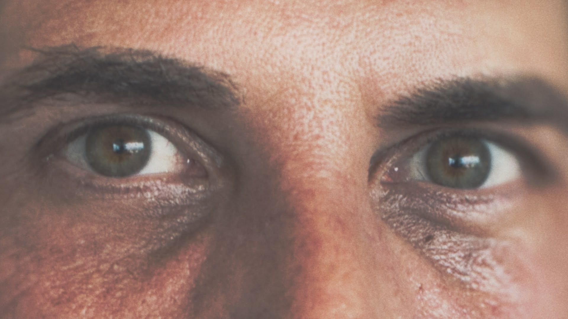 Girls Gone Wild: The Untold Story background