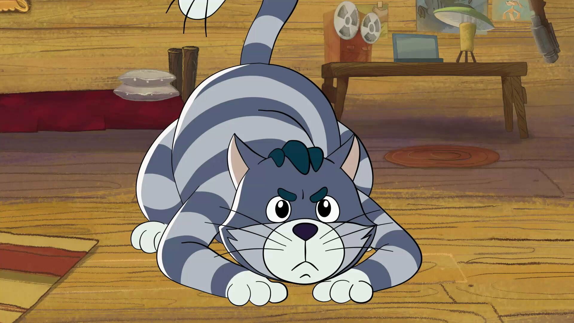 Mr. Theo, Cat & Dog background