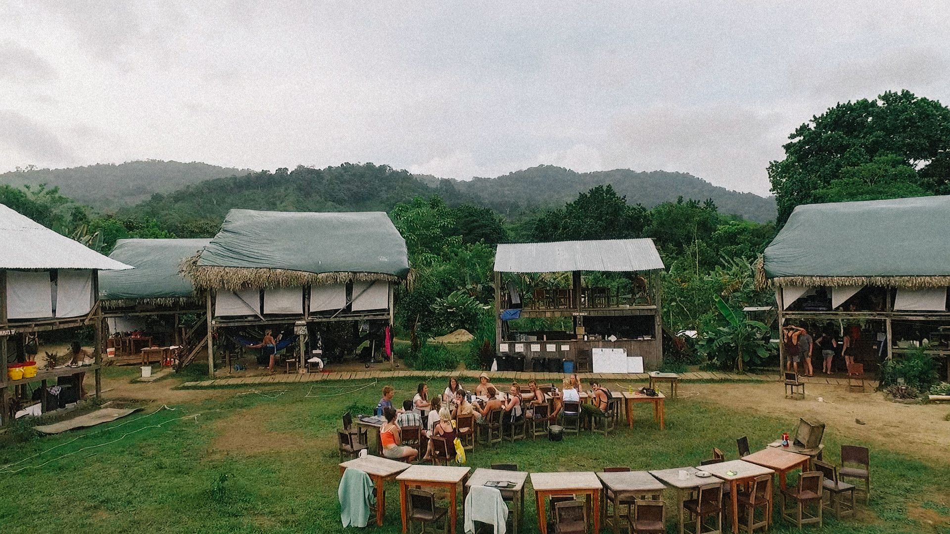 Jungletown background