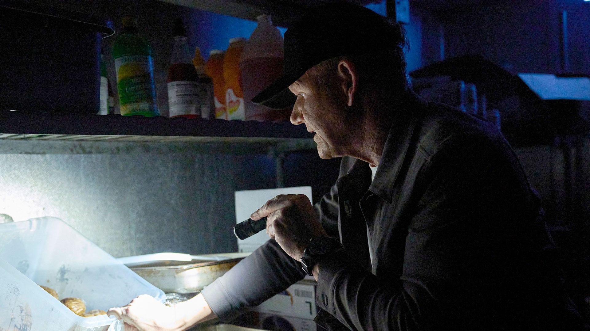 Gordon Ramsay's Secret Service background