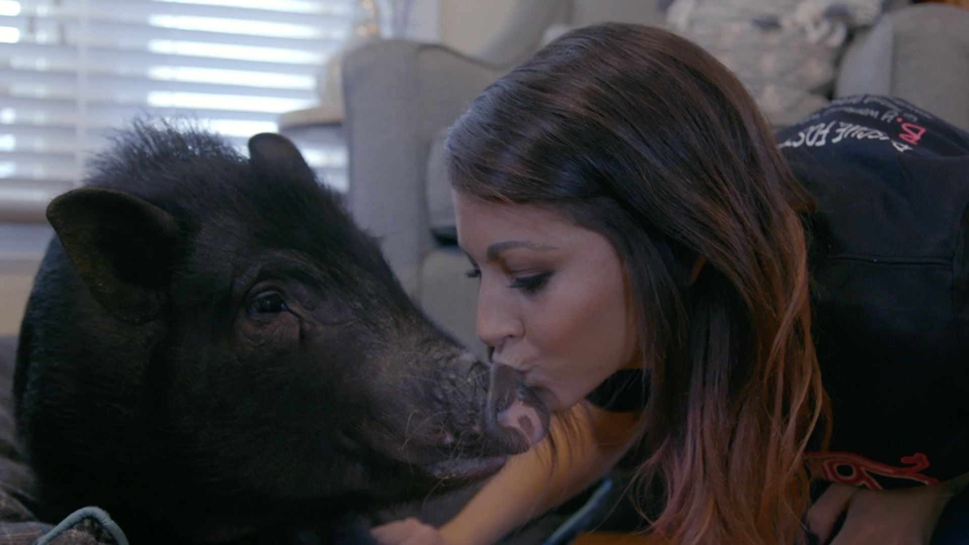 The Wizard of Paws background