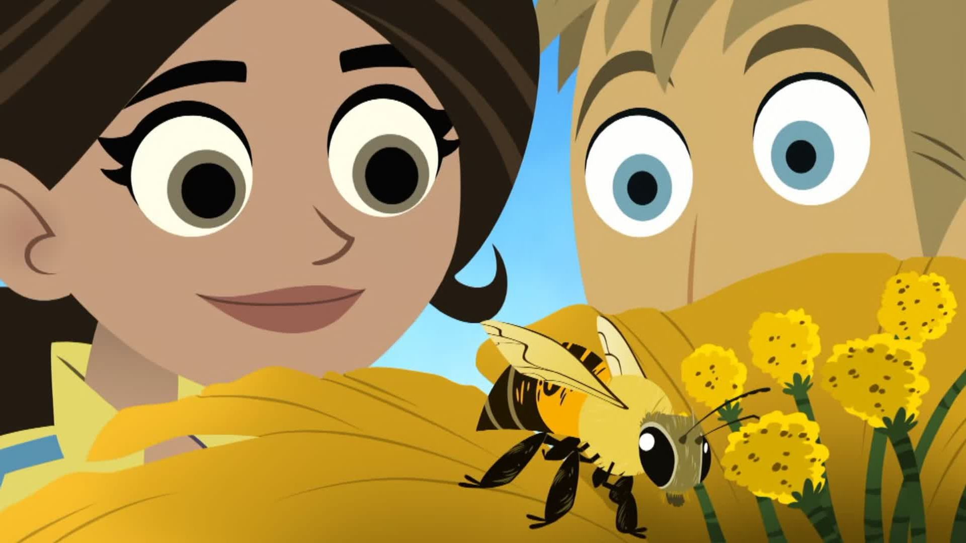 Wild Kratts background