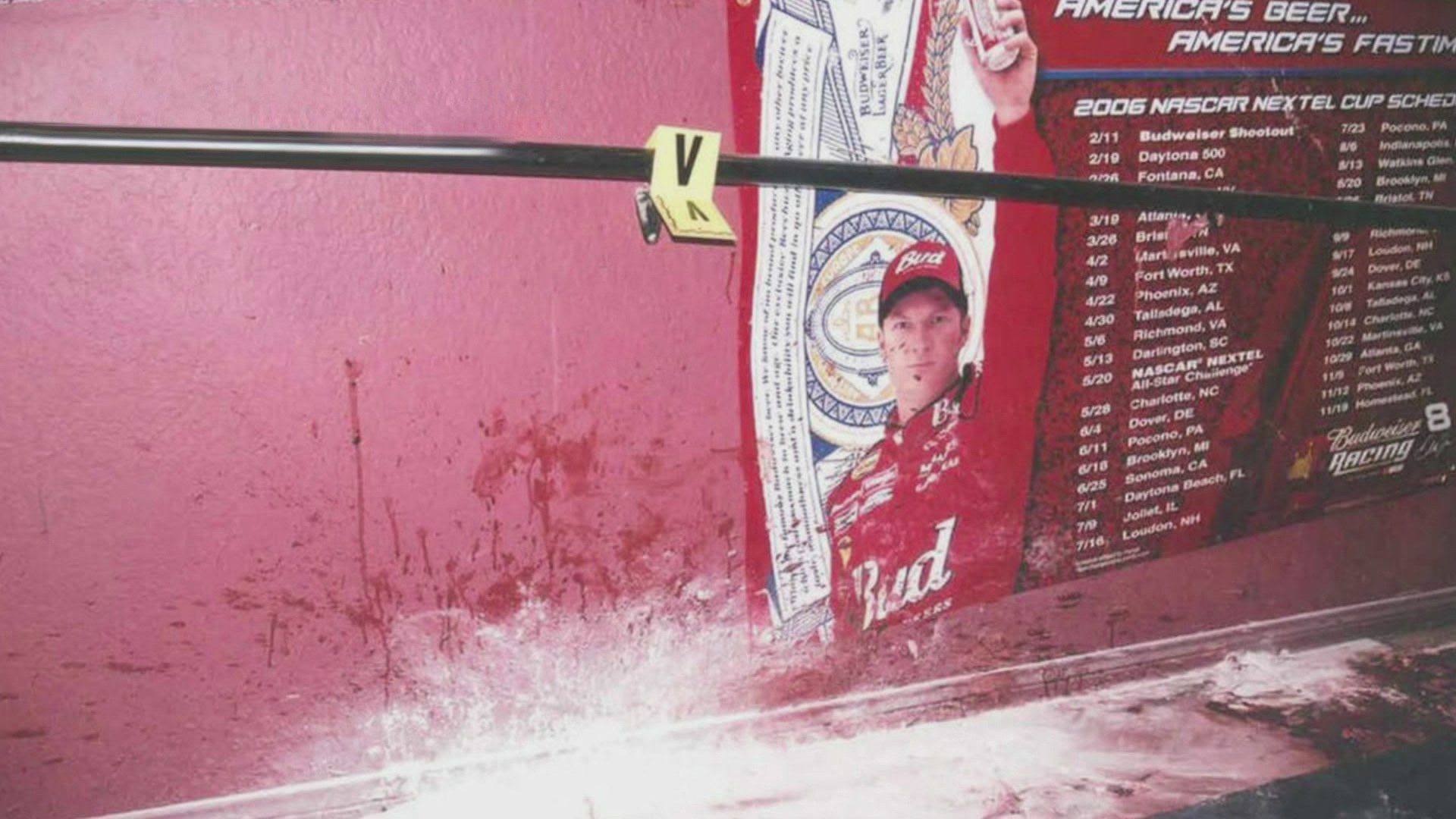 Killer Siblings background