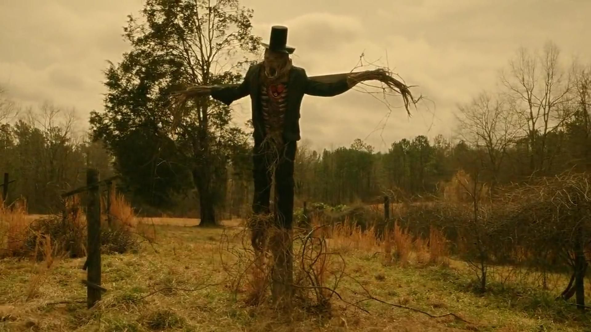 Creepshow background