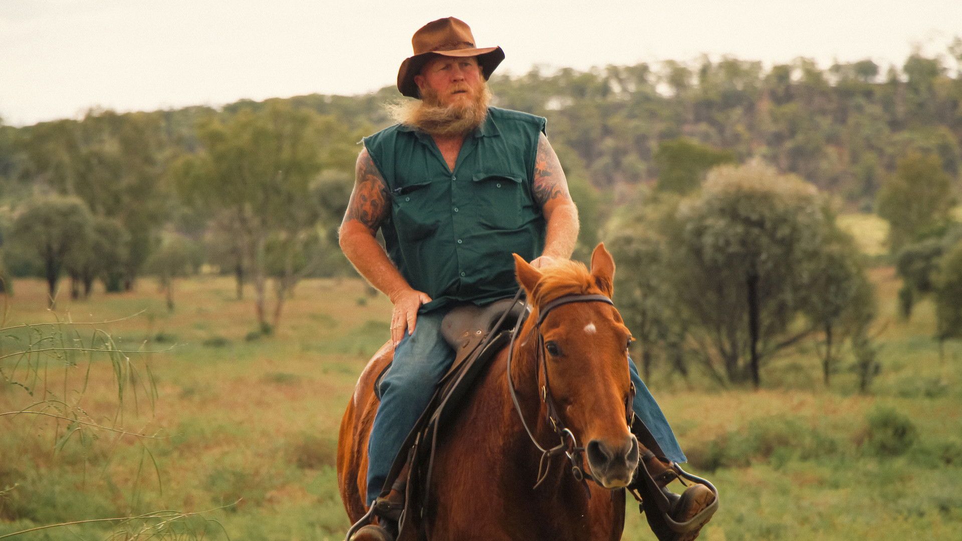Opal Hunters Red Dirt Road Trip background