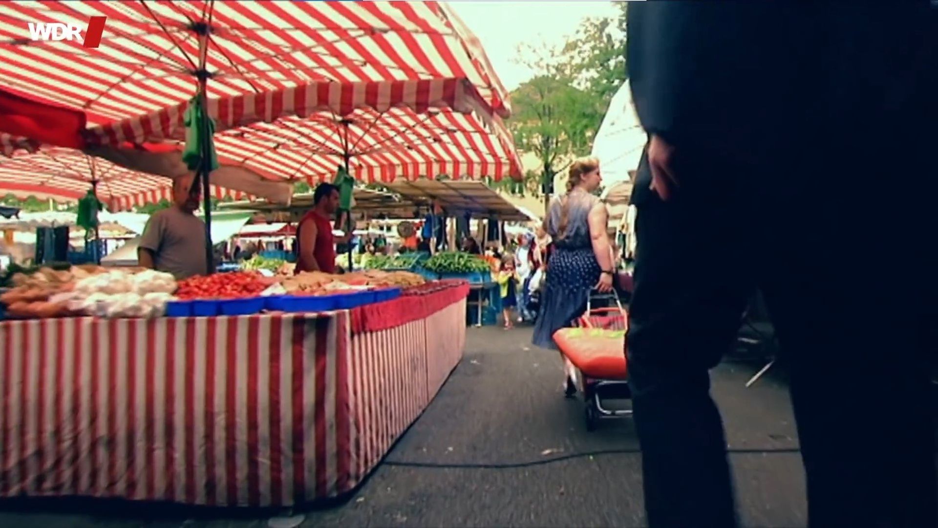 Die Sendung mit dem Elefanten background