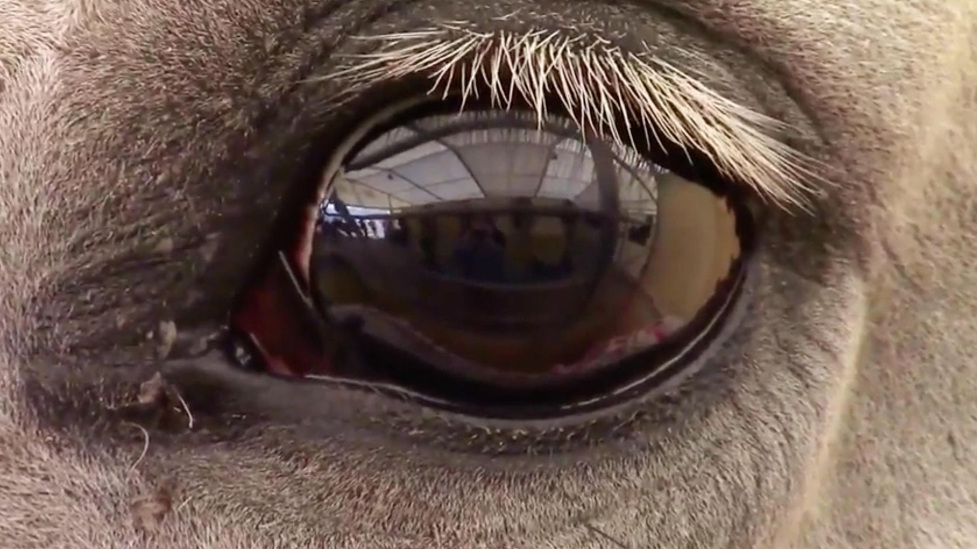 The UnXplained background