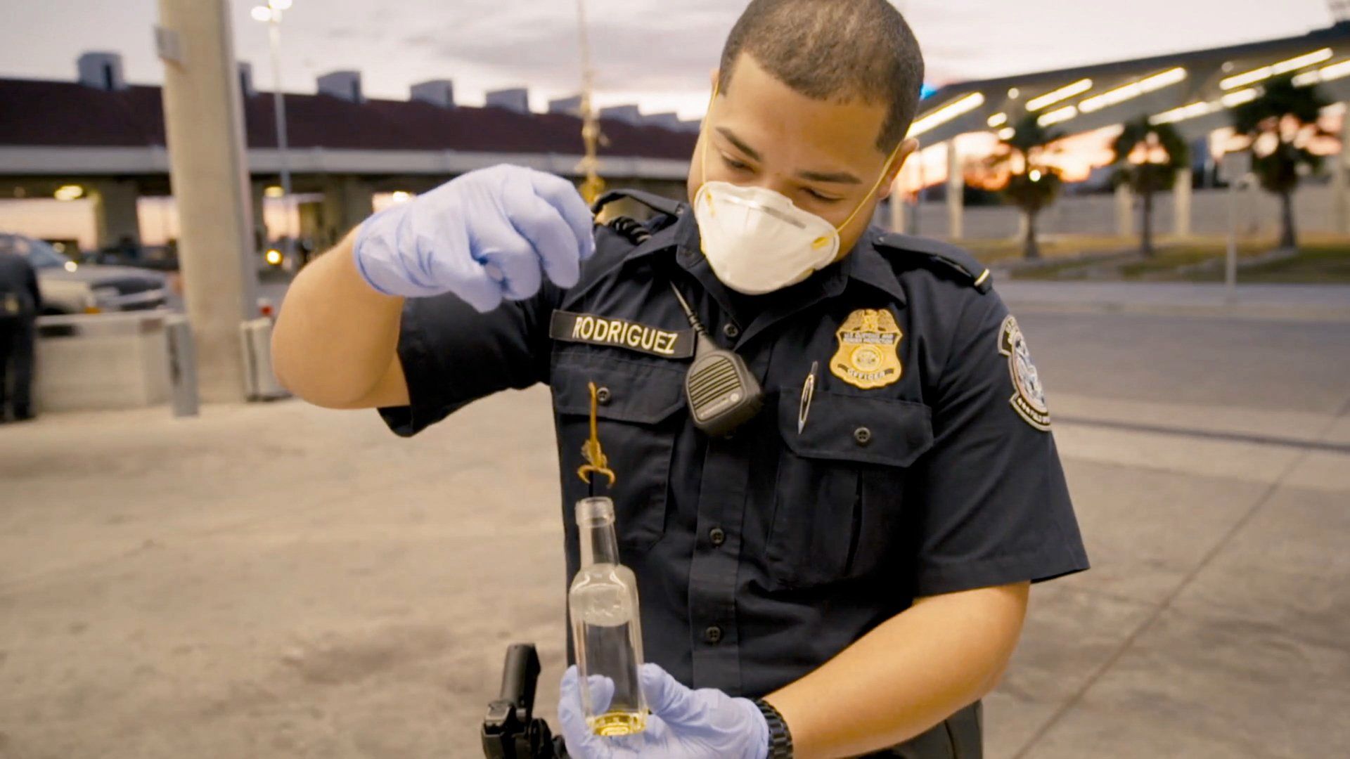 Contraband: Seized at the Border background