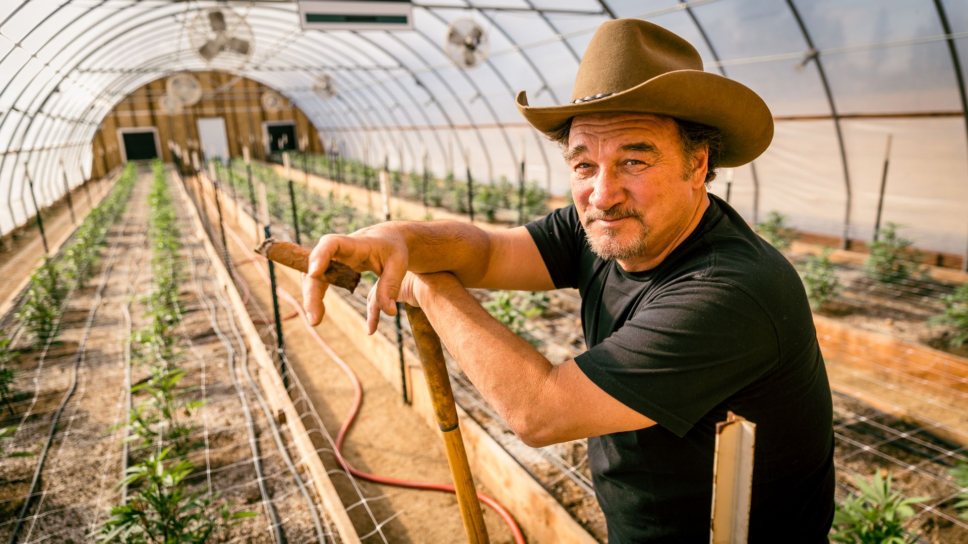 Growing Belushi background