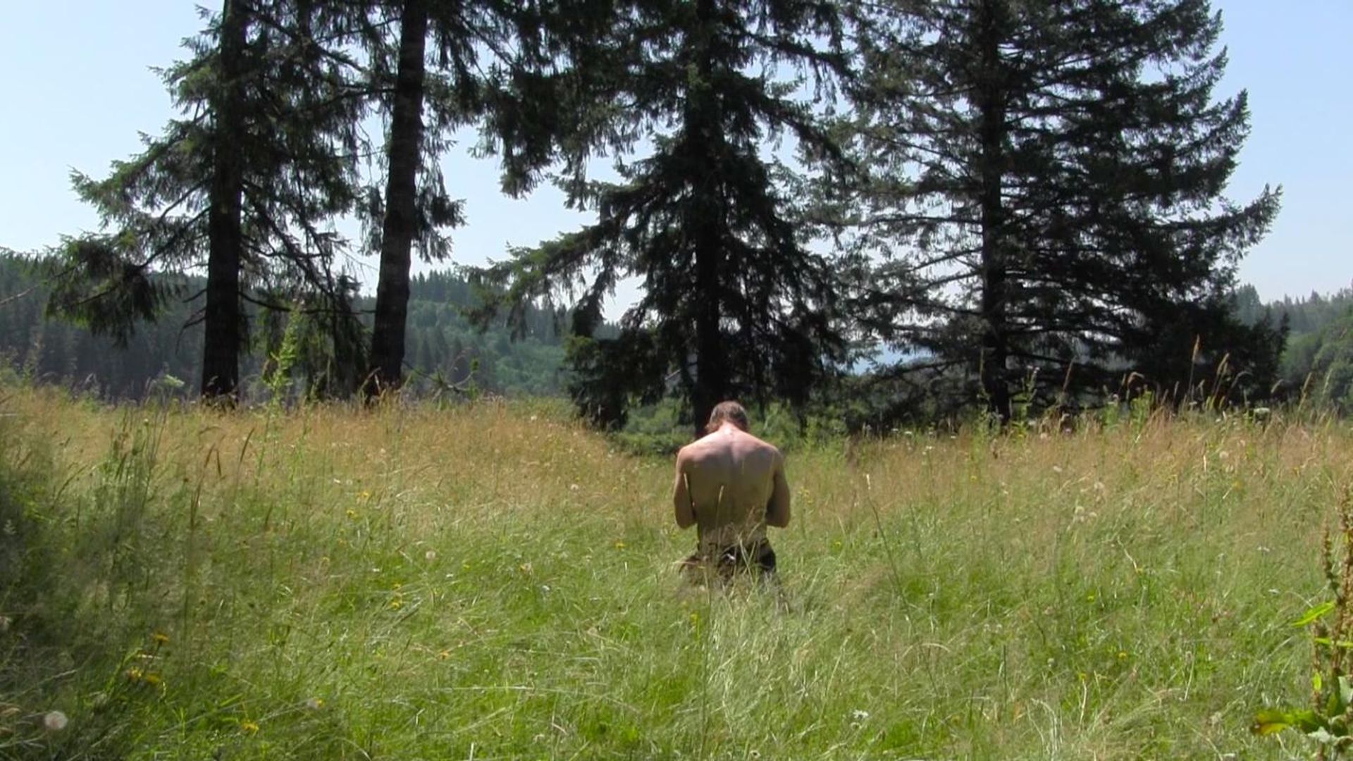 The Fairfield Boys background