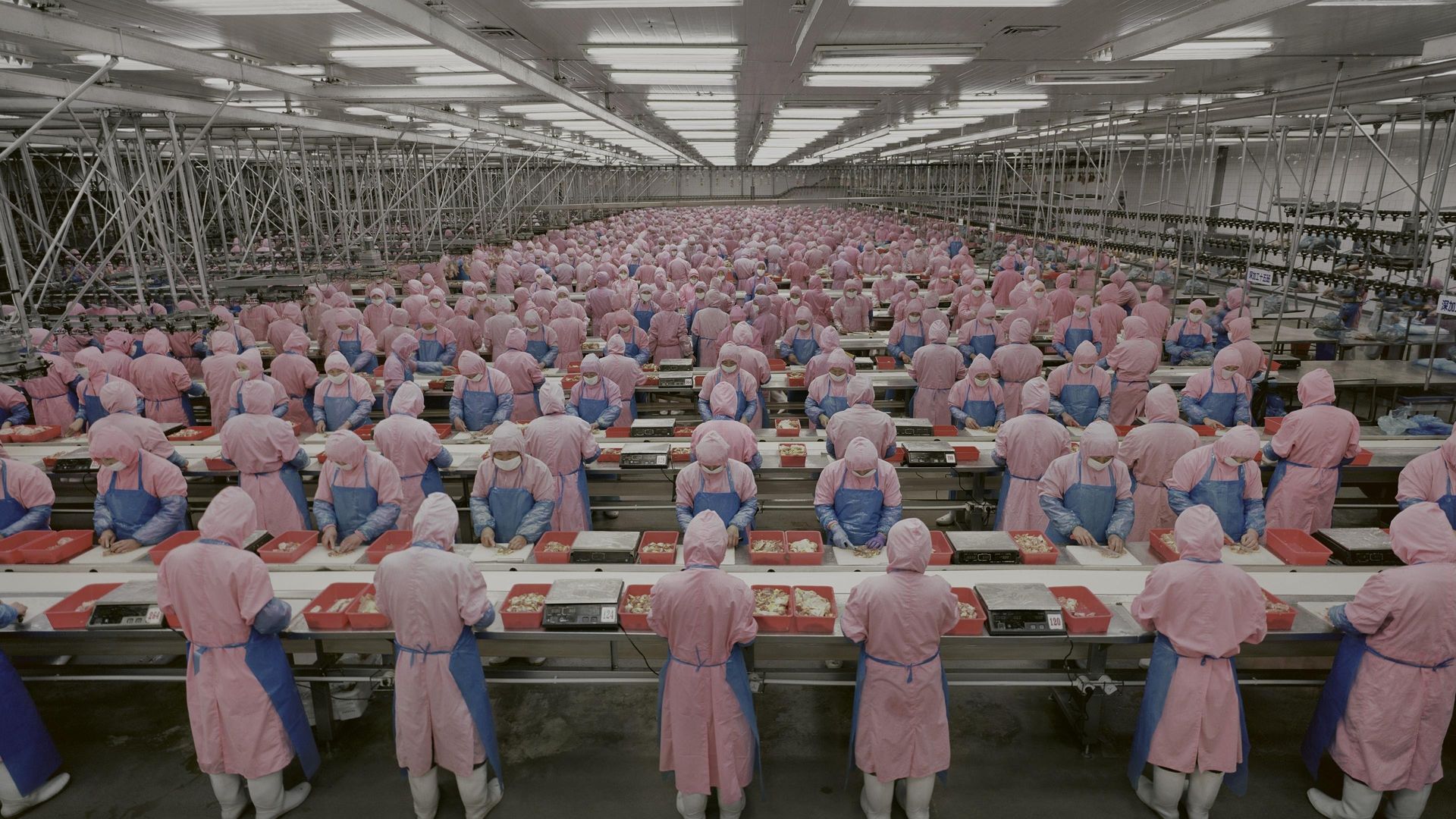 The Invisible Shield background