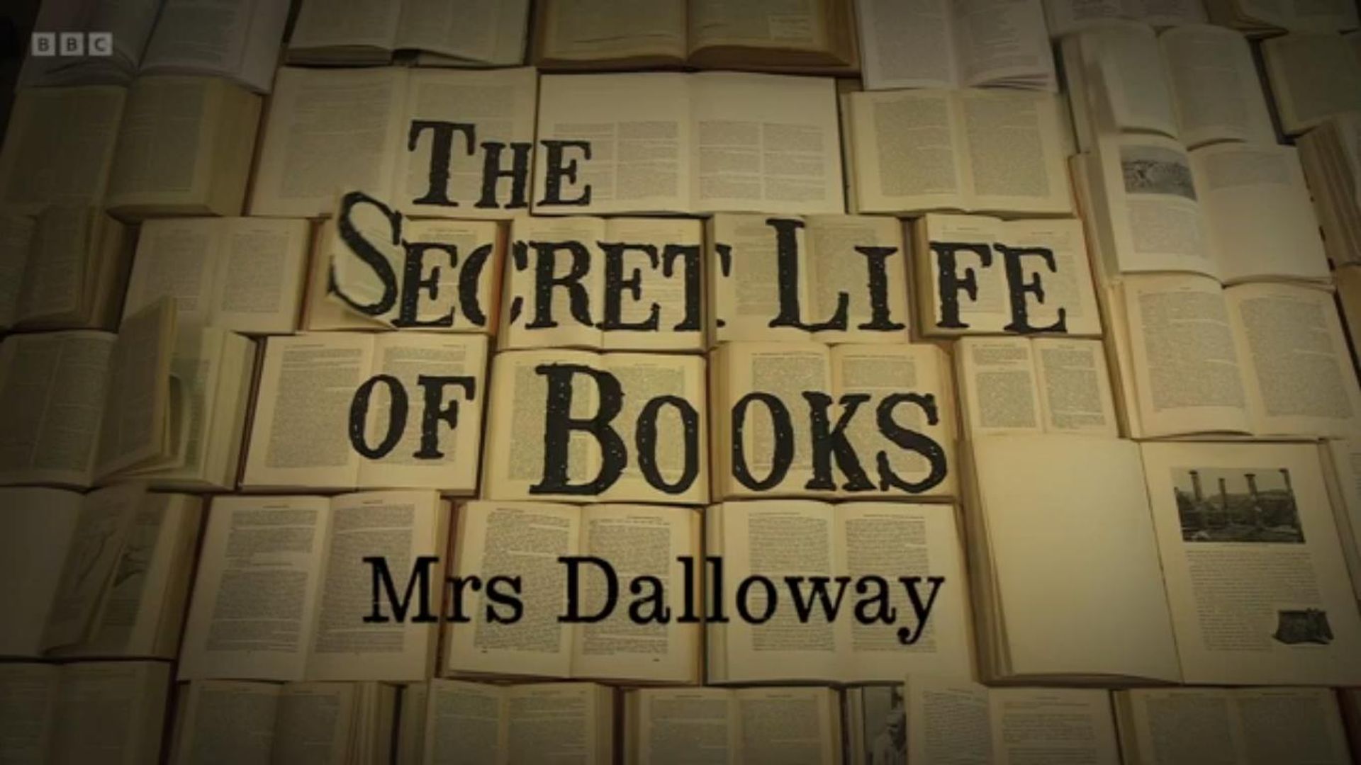 The Secret Life of Books background