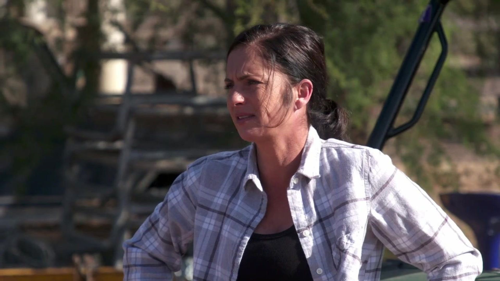 Pig Royalty background