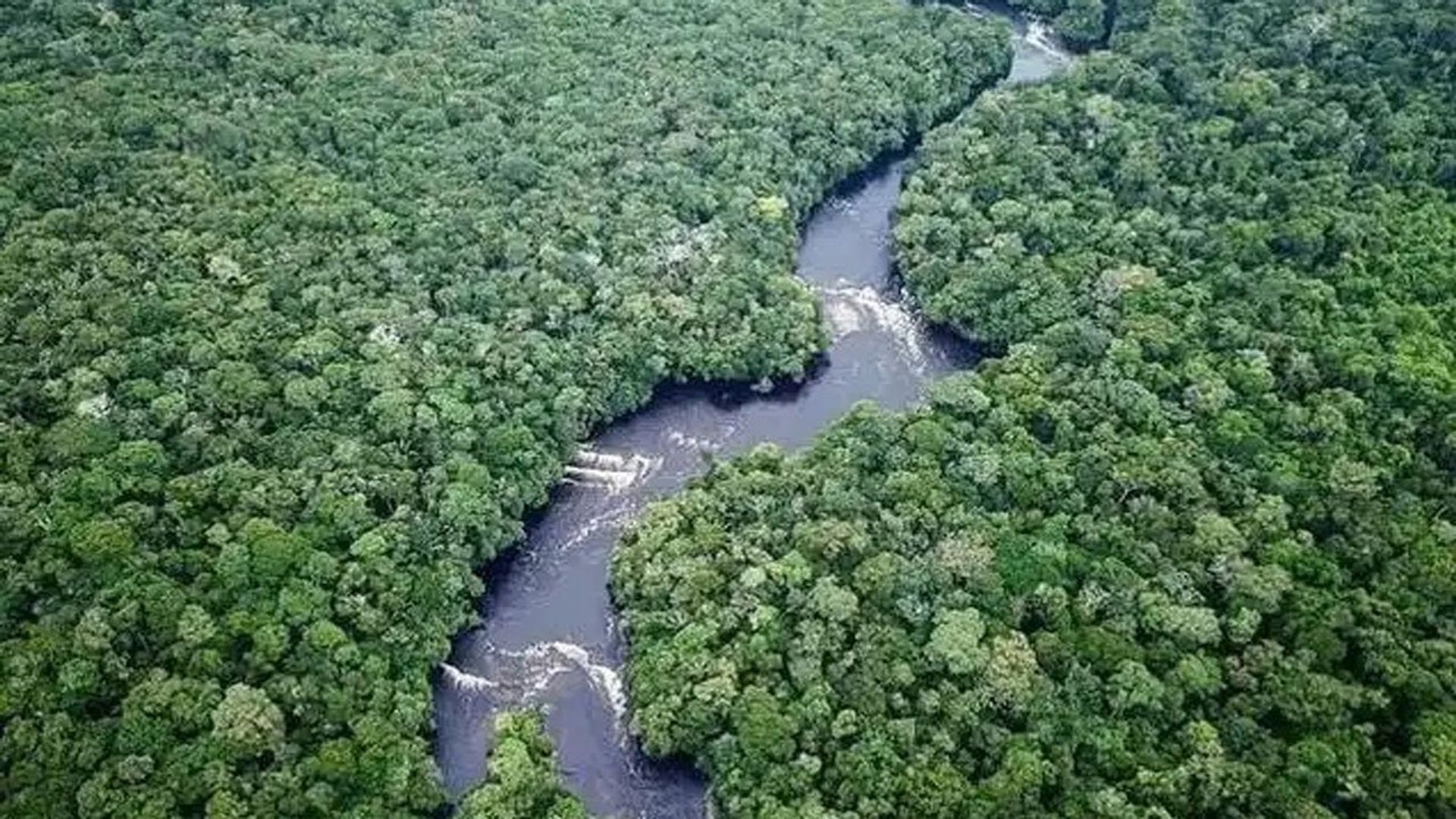 Andes to Amazon background