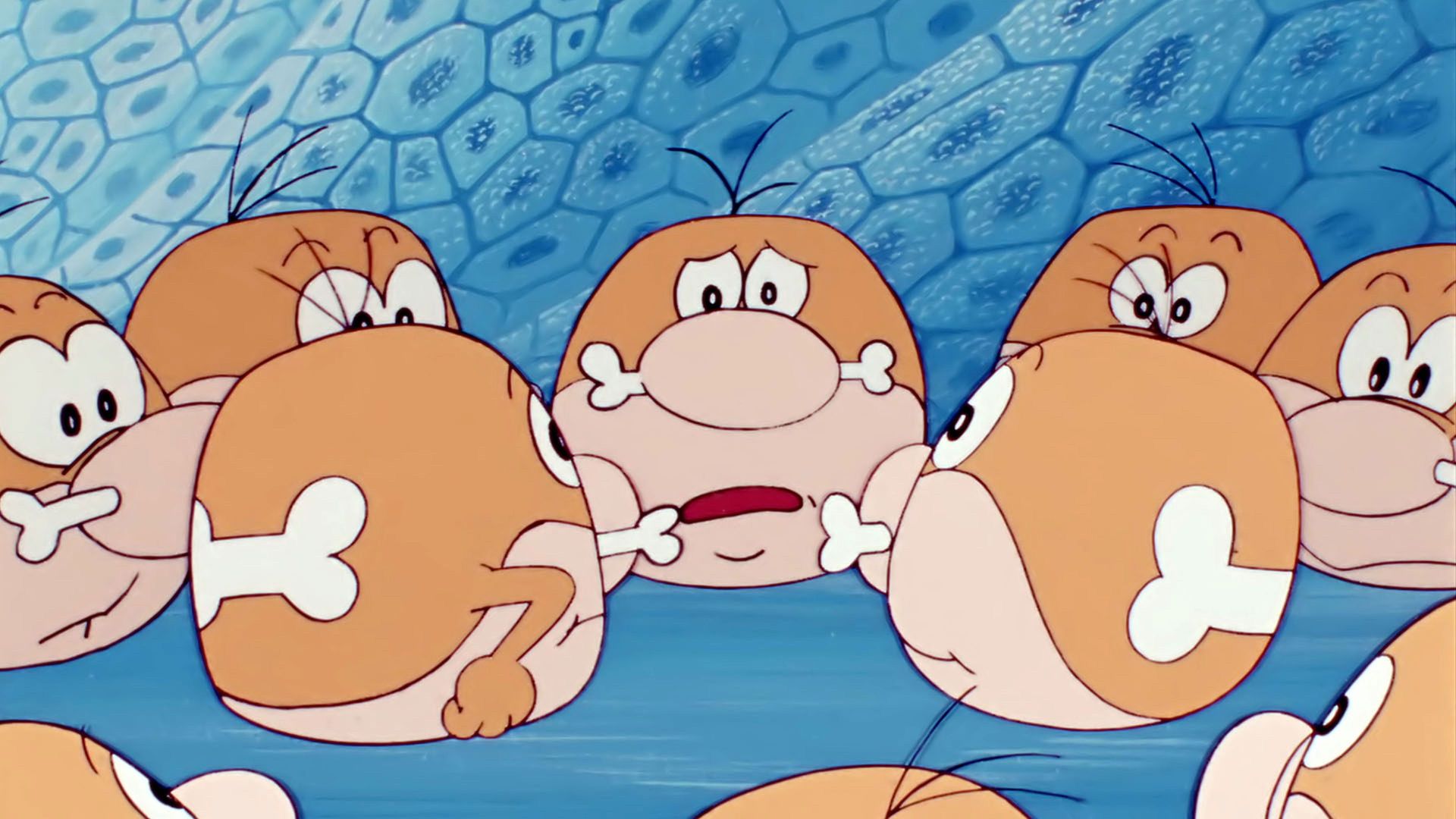 Il était une fois... la vie background