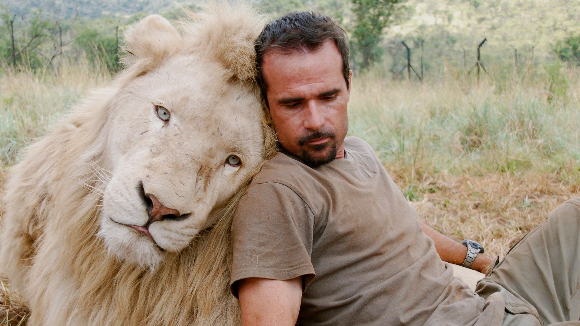 The Lion Ranger background