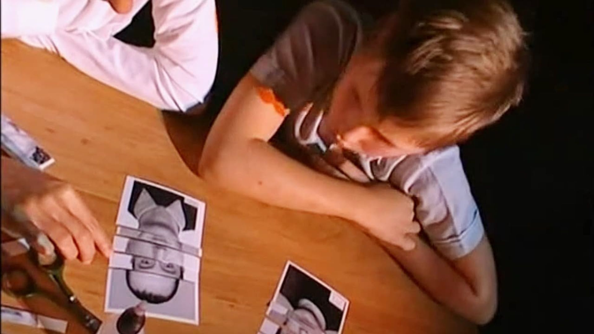 The Investigation Led By background