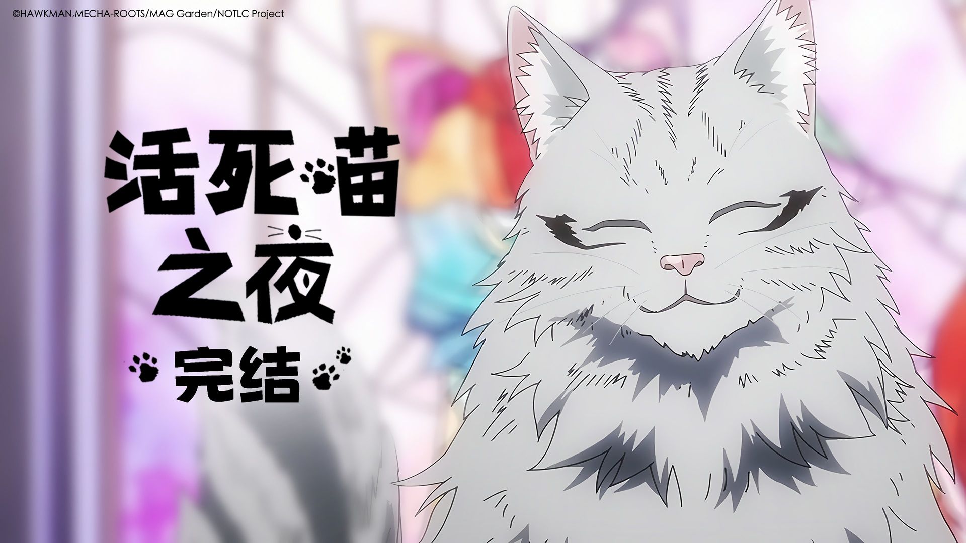 Nyaight of the Living Cat background