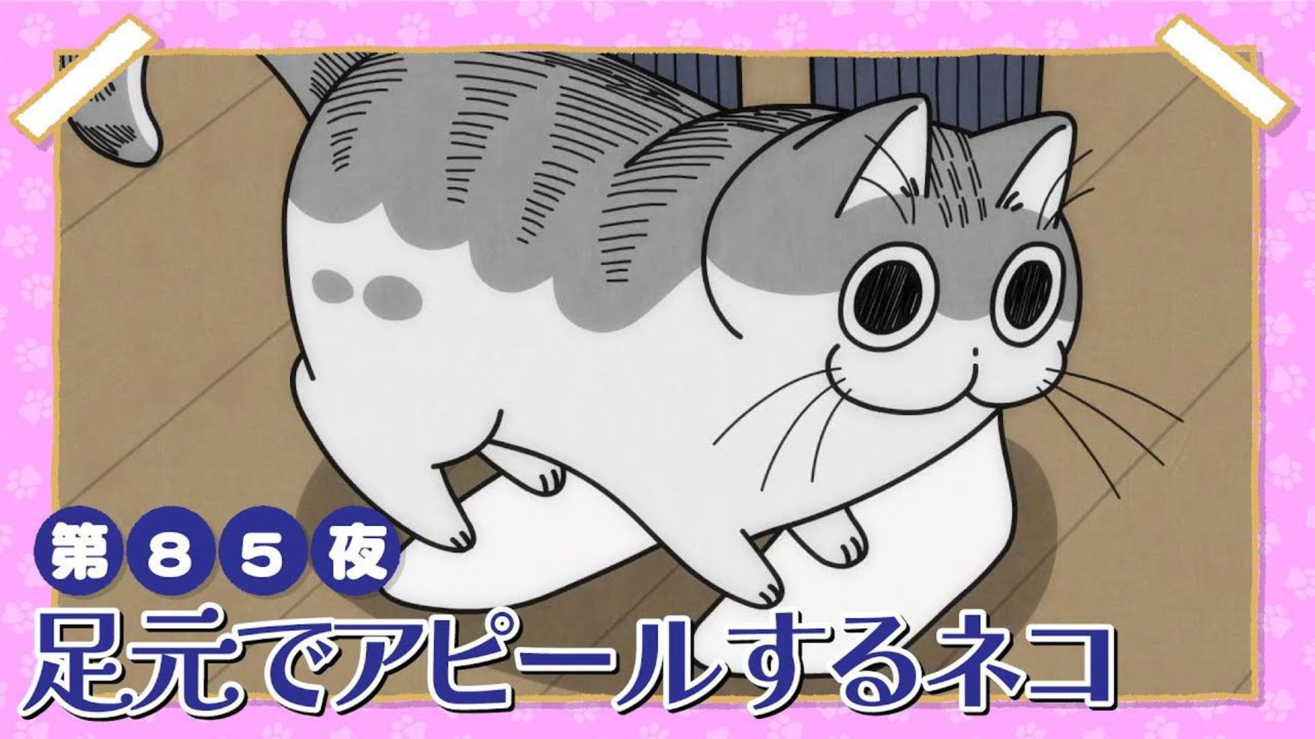 Yoru wa Neko to Issho background