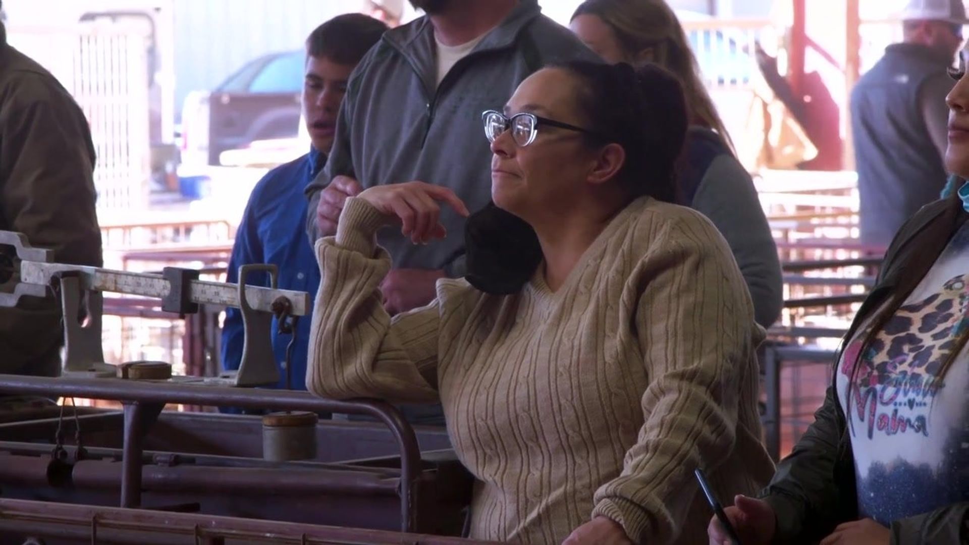 Pig Royalty background