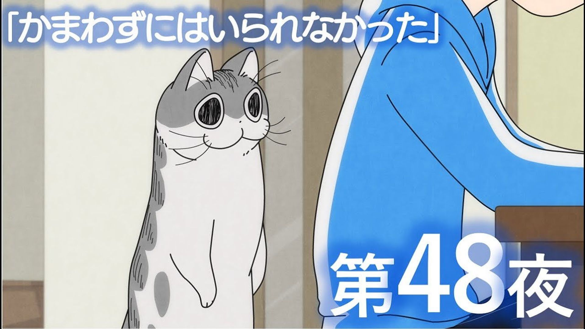 Yoru wa Neko to Issho background