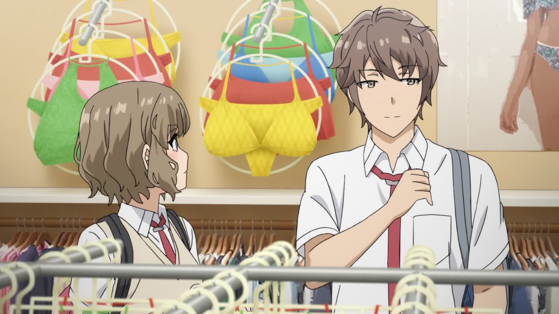 Rascal Does Not Dream of Bunny Girl Senpai background