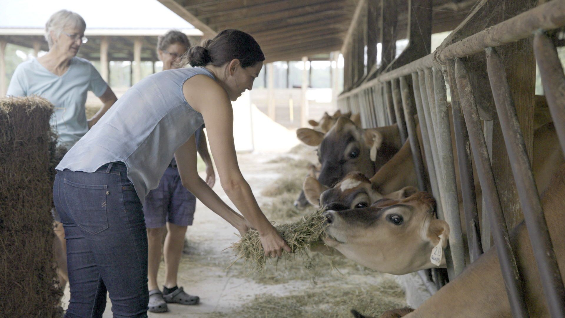 From the Source background