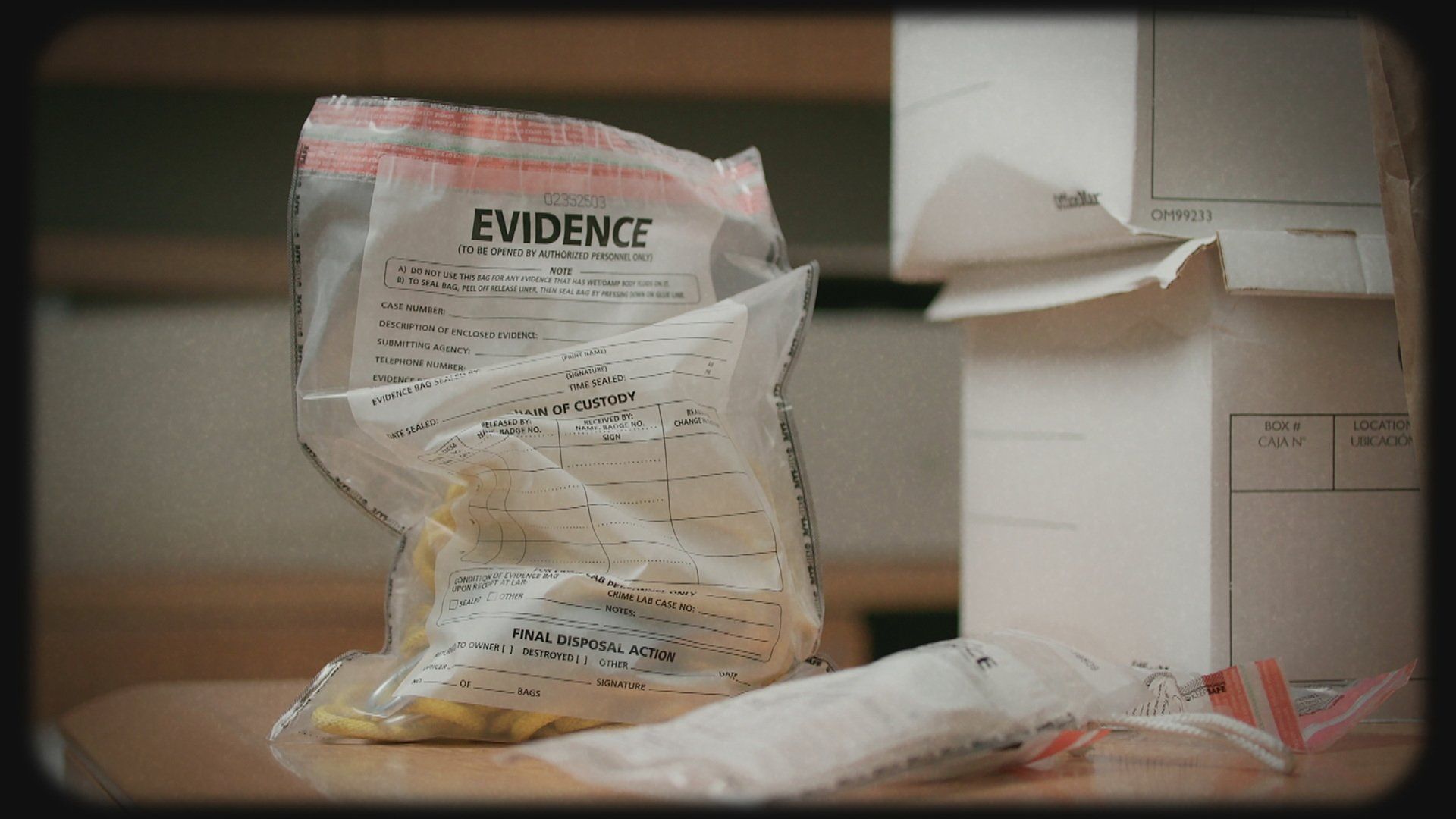 Painkiller: The Tylenol Murders background