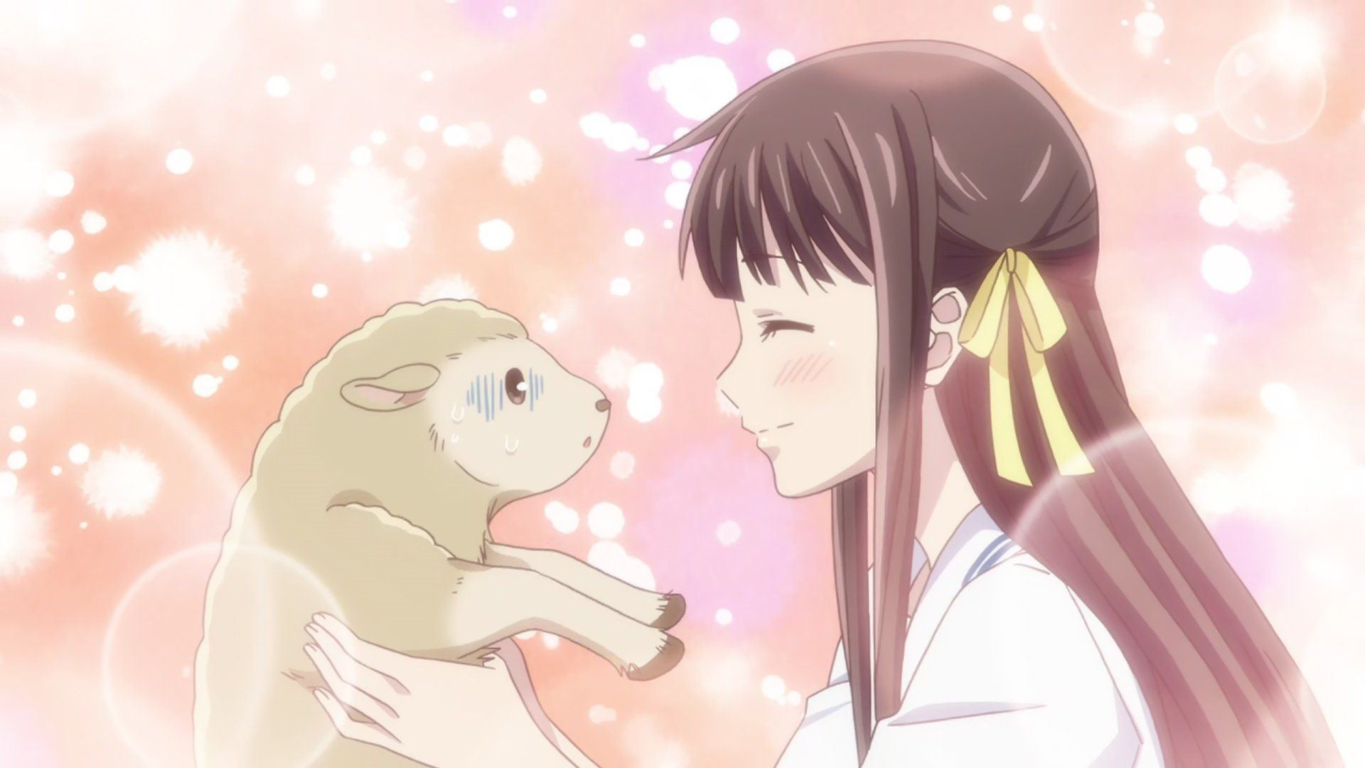 Fruits Basket background