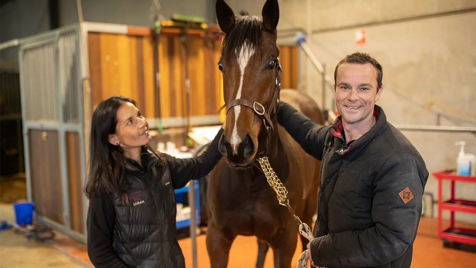 Scottish Vets Down Under background