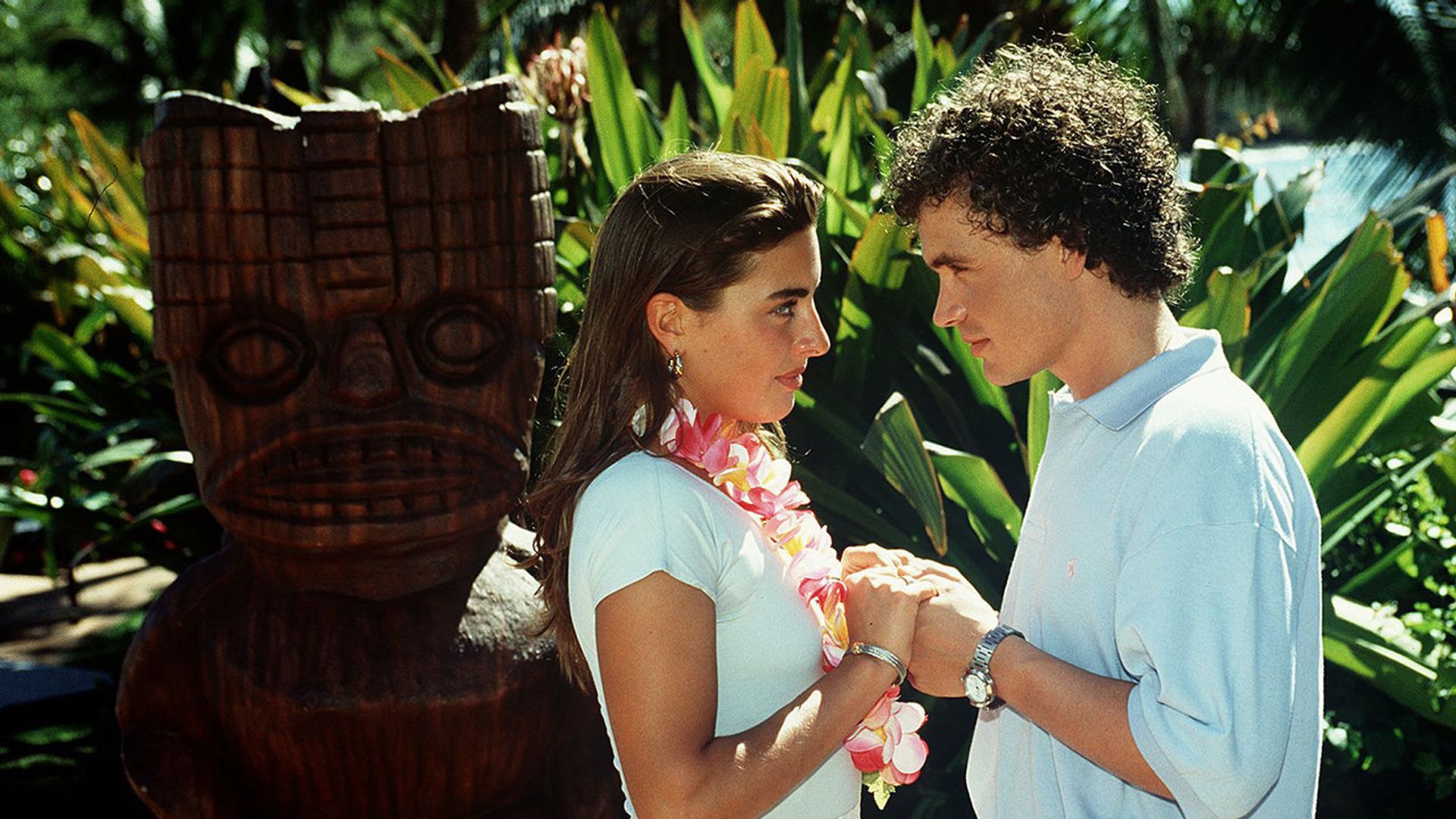 Das Traumschiff background